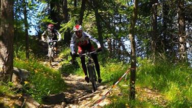 Image pour : 1 MONTEE TELESIEGE - VTT (ANCELLE WEB)